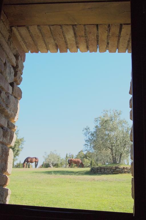 Rapale Podere Campovecchio الغرفة الصورة