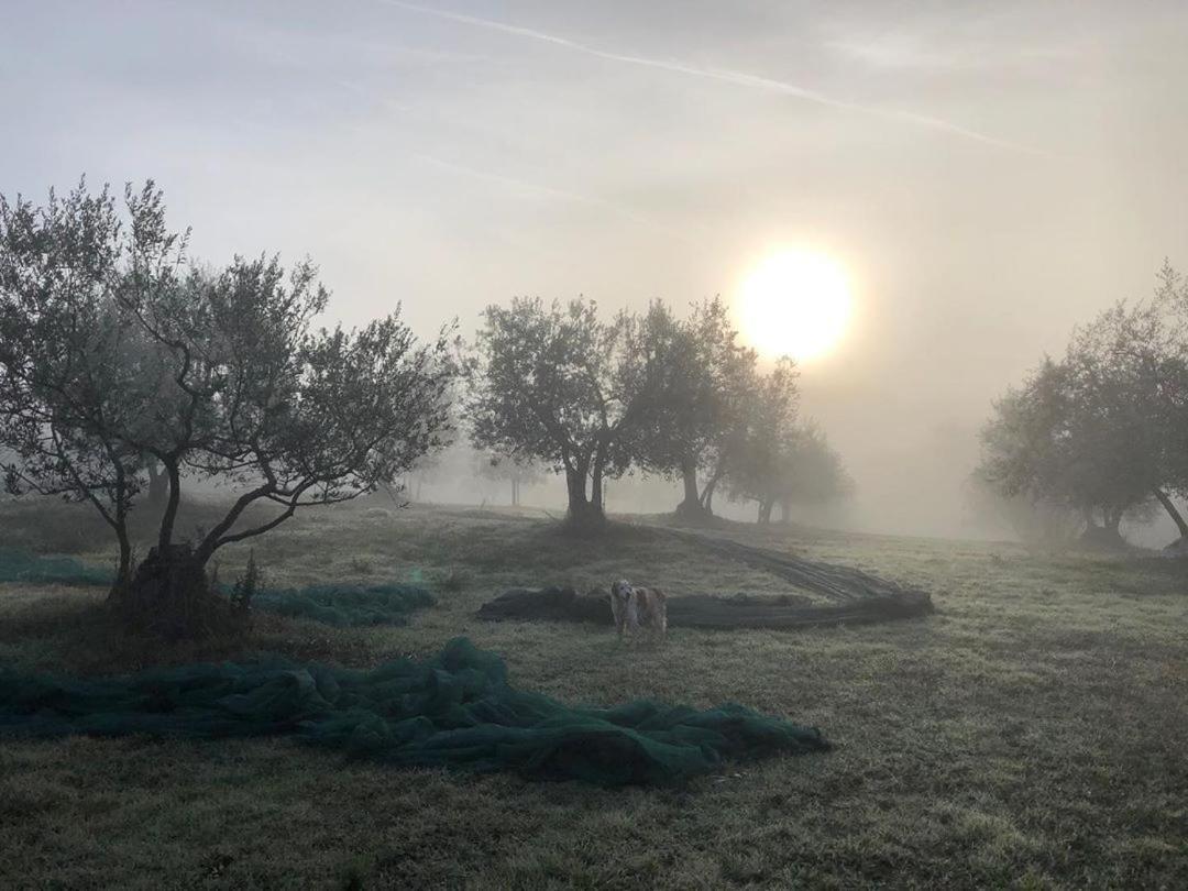 Rapale Podere Campovecchio المظهر الخارجي الصورة