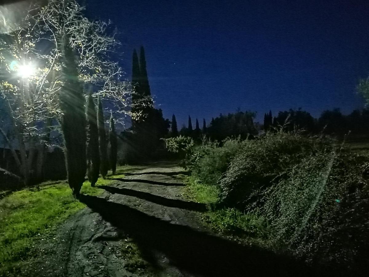 Rapale Podere Campovecchio المظهر الخارجي الصورة