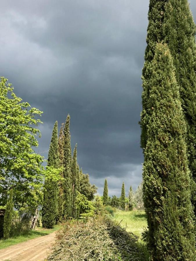 Rapale Podere Campovecchio المظهر الخارجي الصورة